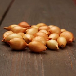 Корадо 8/21 сіянка цибулі (TOP Onion Sets)