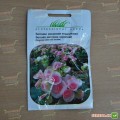 Бегония Коралловые махровые семена (Hem Zaden)