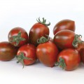 КС 277 F1 (KS 277 F1) семена помидора индетерминантного коктельного (Kitano Seeds)