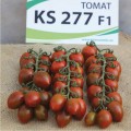 КС 277 F1 (KS 277 F1) семена помидора индетерминантного коктельного (Kitano Seeds)