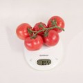 КС 311 F1 семена помидора индетерминантного (Kitano Seeds)