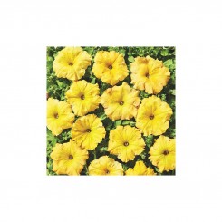 Лавина F1 желтый каприз семян петунии ампельной (Cerny)