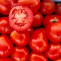 Леонероссо F1 семена помидора детерминантного (Cora Seeds)