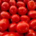 Леонероссо F1 семена помидора детерминантного (Cora Seeds)
