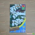 Лимониум белый (white) семян (Moravoseed)