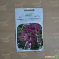 Мамбо F1 фиолетовые семена петунии мультифлора (Hem Genetics)