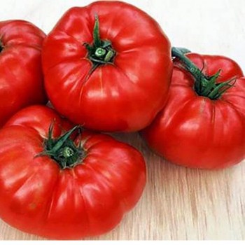 Медвежья лапа семян помидора индетерминантного (ТМ Вкусный)