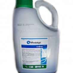 Моддус 250 ЕС регулятор роста (Syngenta)