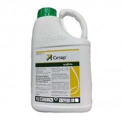 Фунгицид Сетар 375 SC - Syngenta