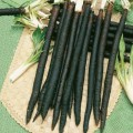Скорционеры (черный корень) семян (Semo)
