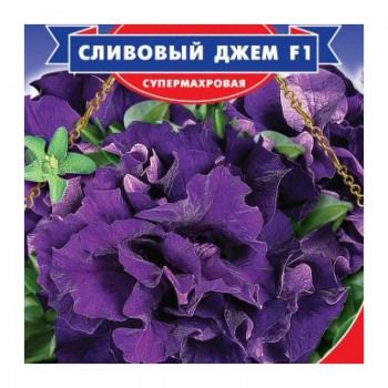 Сливовой джем F1 семена петунии (GL Seeds)