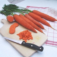 Тинг семян моркови (Moravoseed)