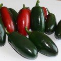 1851 F1 семена горького перца (Lark Seeds)
