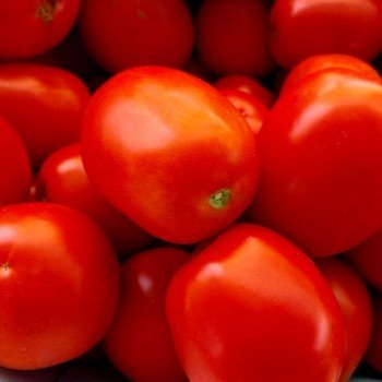 Албароссо F1 семена помидора детерминантного (Cora Seeds)