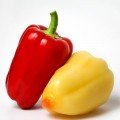 Боярд (Талісман) F1 насіння перцю солодкого (Lucky Seed)