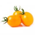 Флоренс F1 семена помидора детерминантного (LibraSeeds)