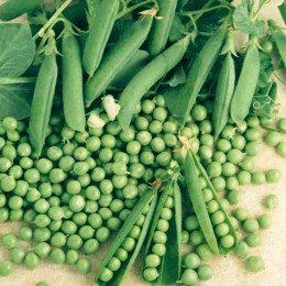 Горох кормовой семена (Украина)