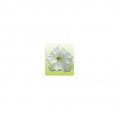 Ямамото Уайт (White) семена петунии крупноцветковой (Kitano Seeds)