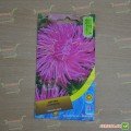 Айстра голчаста рожева (Pink) насіння (Moravoseed)