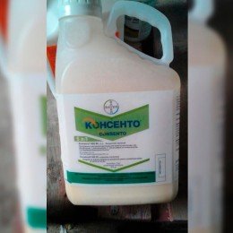 Фунгіцид Консенто – Bayer