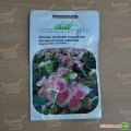 Бегонія Коралова махрова насіння (Hem Zaden)