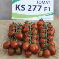 КС 277 F1 (KS 277 F1) насіння помідора індетермінантного коктельного (Kitano Seeds)