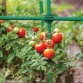Кутовий з'єднувач 11 мм (10 шт.) TYLK11 (Bradas)