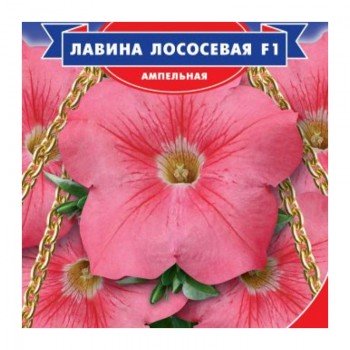 Лавина F1 лососевая (salmon) семена петунии ампельной (GL Seeds)