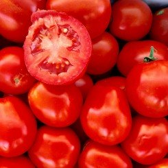 Леонероссо F1 семена помидора детерминантного (Cora Seeds)
