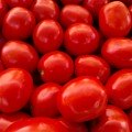 Леонероссо F1 насіння помідора детермінантного (Cora Seeds)