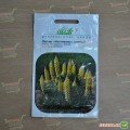 Фестиваль (Галерея) желтый семена люпина (Hem Zaden)