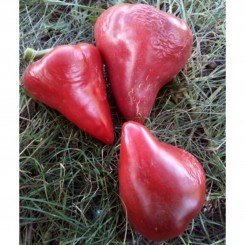 Малинові серця насіння перцю солодкого (GL Seeds)