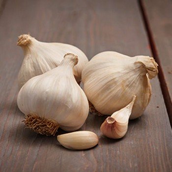 Мессидром 50/60 сеянка чеснока (TOP Onion Sets) Мессидром 50/60 сеянка чеснока (TOP Onion Sets)
