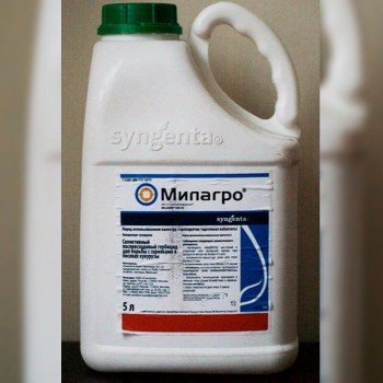 Гербицид Милагро 040 SC - Syngenta