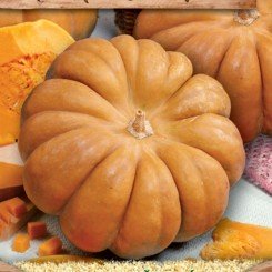 Мускат де Прованс семена тыквы мускатной 6-8 кг (Moravoseed)