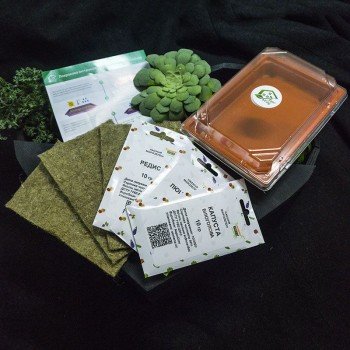 Новичок (3 урожая) набор для выращивания микрозеленые (Agrocity)