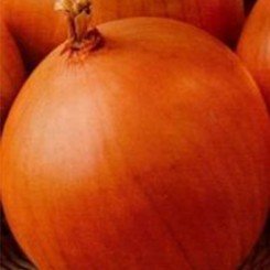 Падиши семян лука репчатого желтого (Satimex)