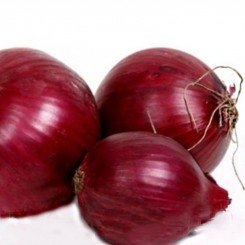 Рот Шар F1 семена лука репчатого (Soto Seeds)