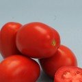 Техас F1 семена помидора детерминантного (Lucky Seed)