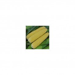 Тесты Мир F1 семена кукурузы суперсладкой Sh2 (Wing Seed)