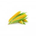 Тесты Мир F1 семена кукурузы суперсладкой Sh2 (Wing Seed)
