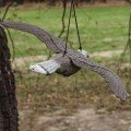 Відлякувач птахів Сокіл в польоті (Bradas)