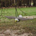 Відлякувач птахів Сокіл в польоті (Bradas)