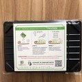Яскравий Акцент набір для вирощування мікрозелених (World of Seeds)