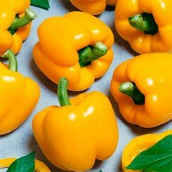 Желтый куб F1 семян перца сладкого (GL Seeds)