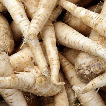 Злата семена петрушки корневой (Soto Seeds) Злата семена петрушки корневой (Soto Seeds)