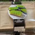 Яркий Акцент набор для выращивания микрозеленых (World of Seeds)