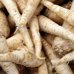 Злата насіння петрушки кореневої (Soto Seeds)