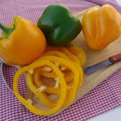 Афродіта насіння перцю солодкого (Moravoseed)