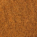 Аскания F1 семена капусты белокочанной (Lucky Seed)
